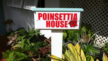 POINSETTIA HOUSE