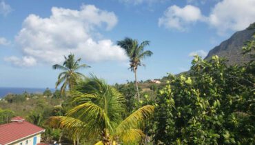 LAND FOR SALE AT CHOISEUL ST. LUCIA