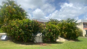 Two Bed Condo For Sale Located In Rodney Bay