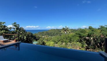 CARIBBEAN BIRDS VILLA FOR SALE, LOCATED IN COUBARIL- UNDER OFFER