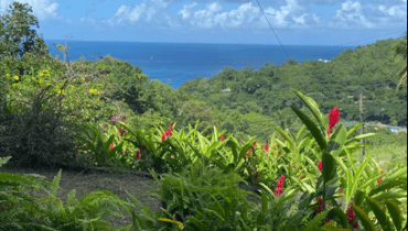 CARIBBEAN BIRDS VILLA FOR SALE, LOCATED IN COUBARIL