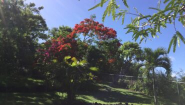 Sunset Haven Villa, Cap Estate Saint Lucia