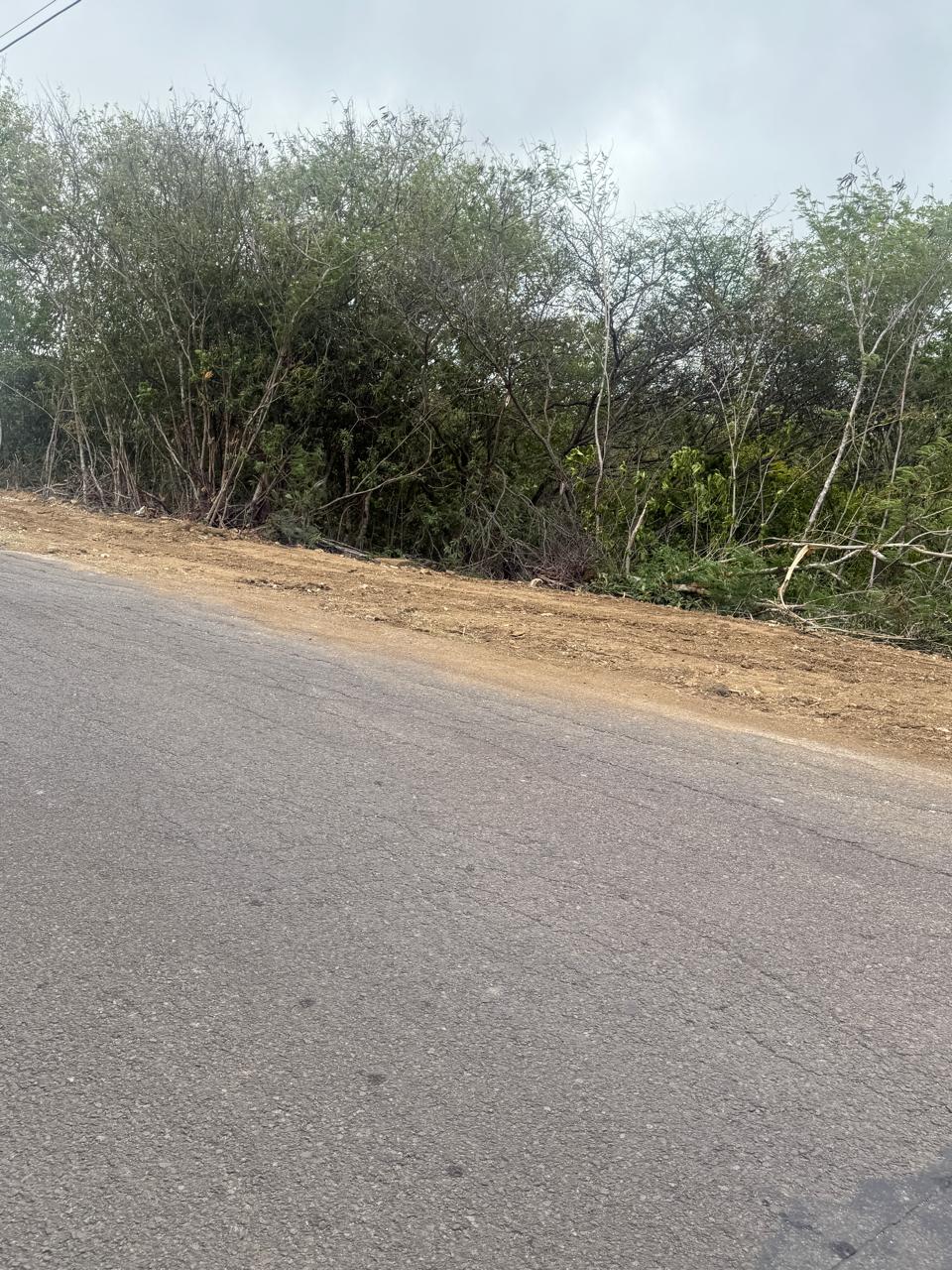 PLOTS OF LAND FOR SALE AT CAP ESTATE, SAINT LUCIA