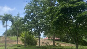 BEACHFRONT PROPERTY FOR SALE ON THE WEST COAST OF SAINT LUCIA