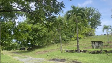 BEACHFRONT PROPERTY FOR SALE ON THE WEST COAST OF SAINT LUCIA