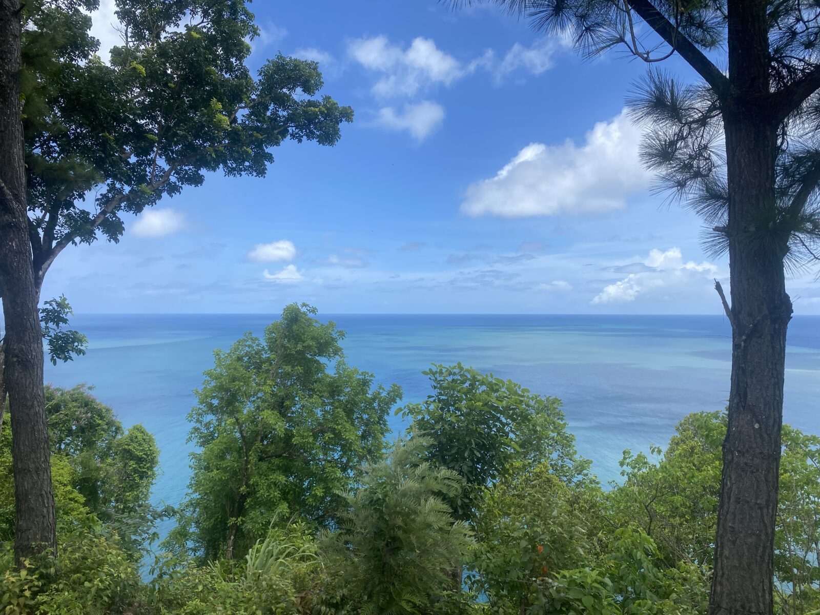 BEACHFRONT PROPERTY FOR SALE ON THE WEST COAST OF SAINT LUCIA