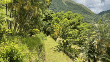VILLA FOR SALE LOCATED AT SOUFRIERE, SAINT LUCIA