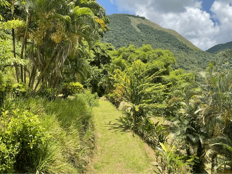 VILLA FOR SALE LOCATED AT SOUFRIERE, SAINT LUCIA