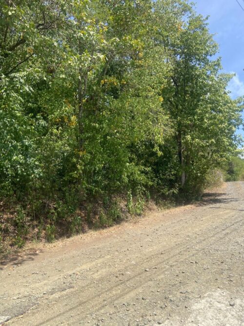 LAND FOR SALE LOCATED AT CAP ESTATE, SAINT LUCIA