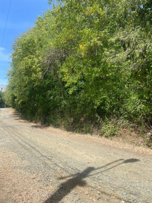 LAND FOR SALE LOCATED AT CAP ESTATE, SAINT LUCIA