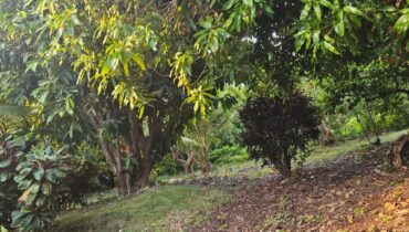 APARTMENT FOR RENT LOCATED AT VIGIE, CASTRIES, SAINT LUCIA