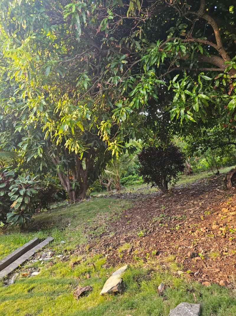 APARTMENT FOR RENT LOCATED AT VIGIE, CASTRIES, SAINT LUCIA