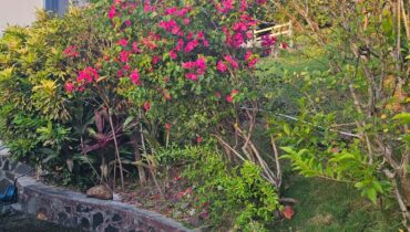 APARTMENT FOR RENT LOCATED AT VIGIE, CASTRIES, SAINT LUCIA