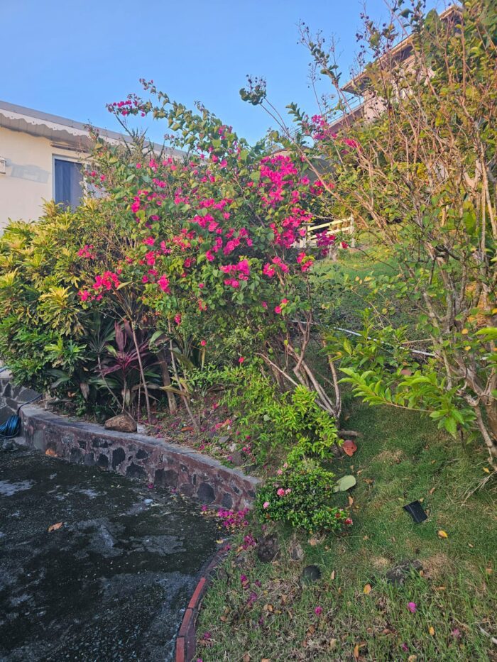 APARTMENT FOR RENT LOCATED AT VIGIE, CASTRIES, SAINT LUCIA