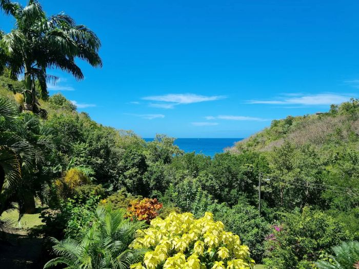 VILLA KARIBU FOR SALE LOCATED IN MARIGOT BAY, SAINT LUCIA