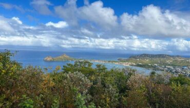 A’ ILA RESORTS BLUE ZONE RESIDENCES FOR SALE AT RODNEY BAY ONE-BED APARTMENT