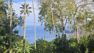 MORNE COUBARIL ESTATE FOR SALE LOCATED AT SOUFRIERE, SAINT LUCIA