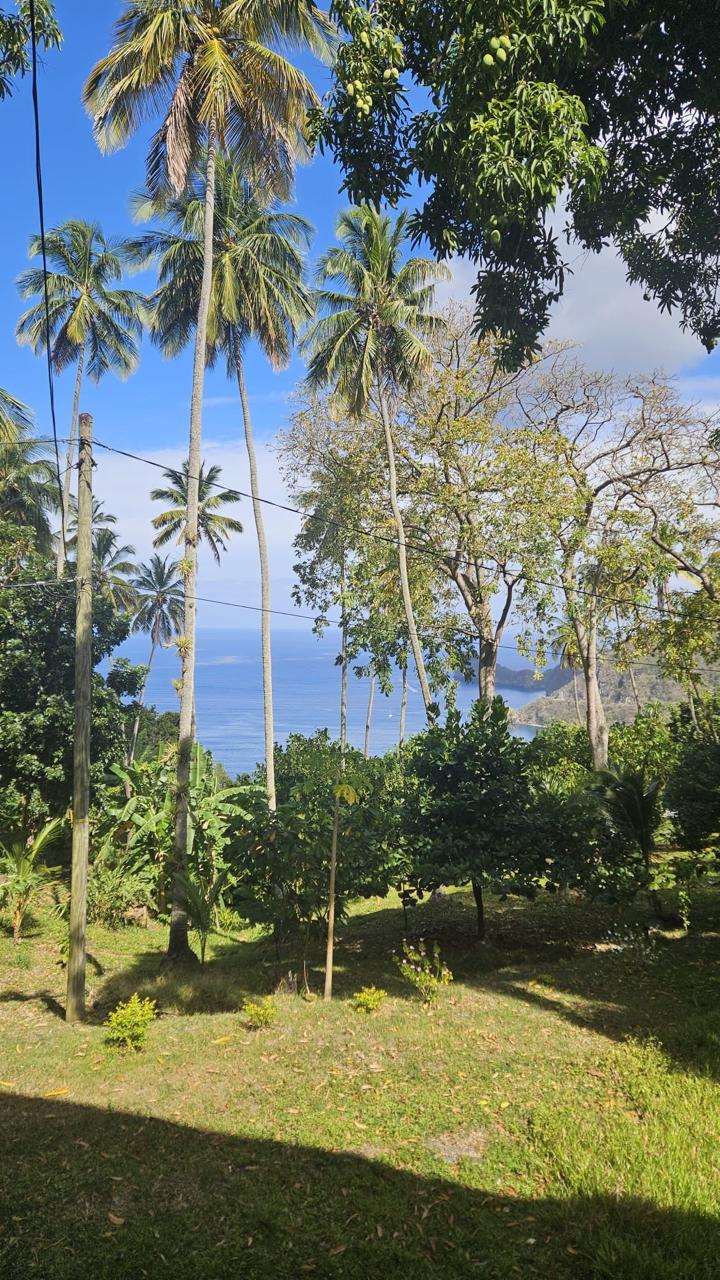 MORNE COUBARIL ESTATE FOR SALE LOCATED AT SOUFRIERE, SAINT LUCIA