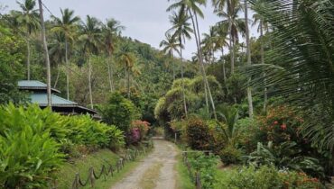 MORNE COUBARIL ESTATE FOR SALE LOCATED AT SOUFRIERE, SAINT LUCIA