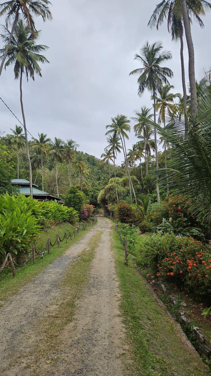 MORNE COUBARIL ESTATE FOR SALE LOCATED AT SOUFRIERE, SAINT LUCIA