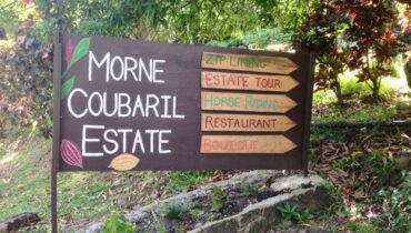 MORNE COUBARIL ESTATE FOR SALE LOCATED AT SOUFRIERE, SAINT LUCIA
