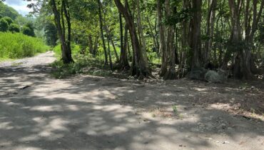 BEACH FRONT LAND FOR SALE LOCATED AT ANSE LA RAYE, SAINT LUCIA
