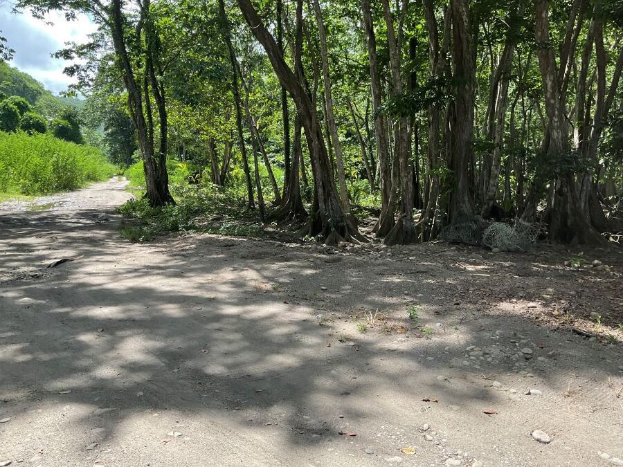 BEACH FRONT LAND FOR SALE LOCATED AT ANSE LA RAYE, SAINT LUCIA