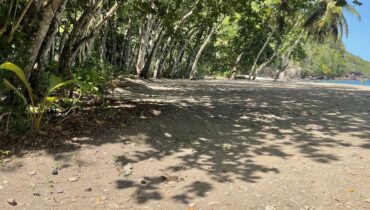 BEACH FRONT LAND FOR SALE LOCATED AT ANSE LA RAYE, SAINT LUCIA