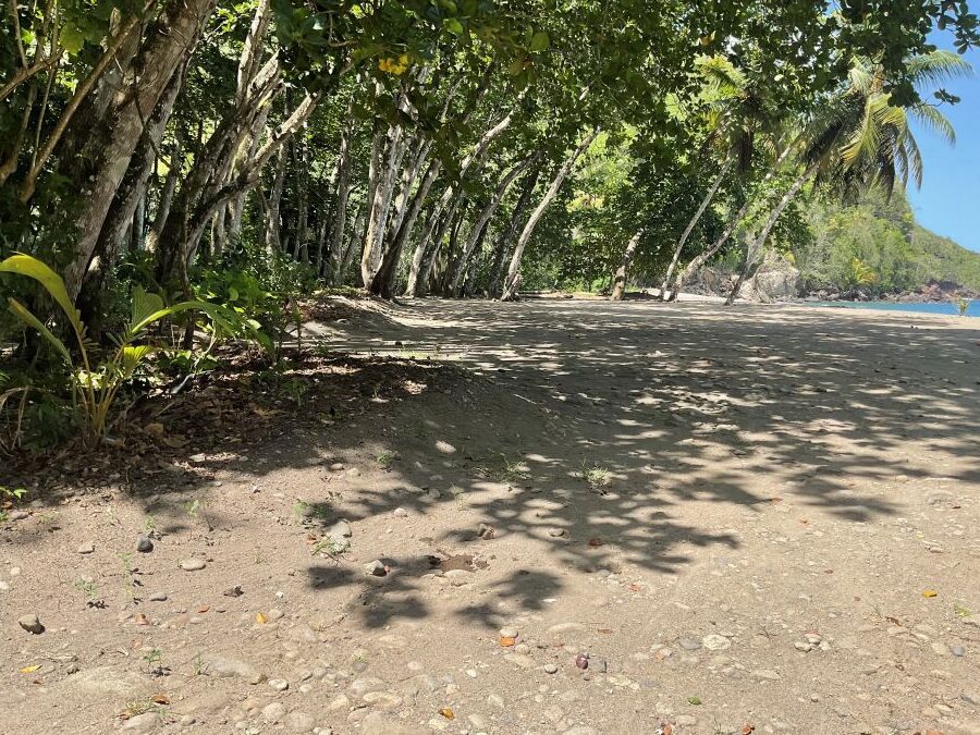 BEACH FRONT LAND FOR SALE LOCATED AT ANSE LA RAYE, SAINT LUCIA
