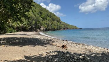BEACH FRONT LAND FOR SALE LOCATED AT ANSE LA RAYE, SAINT LUCIA