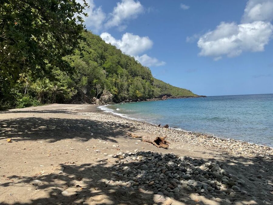 BEACH FRONT LAND FOR SALE LOCATED AT ANSE LA RAYE, SAINT LUCIA