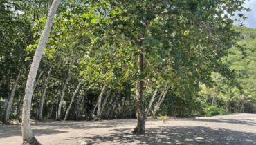 BEACH FRONT LAND FOR SALE LOCATED AT ANSE LA RAYE, SAINT LUCIA