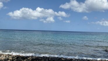 BEACH FRONT LAND FOR SALE LOCATED AT ANSE LA RAYE, SAINT LUCIA