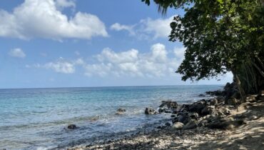 BEACH FRONT LAND FOR SALE LOCATED AT ANSE LA RAYE, SAINT LUCIA