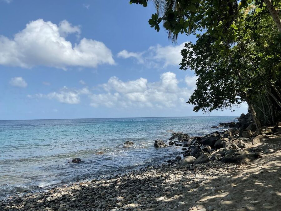 BEACH FRONT LAND FOR SALE LOCATED AT ANSE LA RAYE, SAINT LUCIA