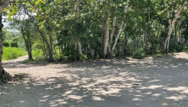 BEACH FRONT LAND FOR SALE LOCATED AT ANSE LA RAYE, SAINT LUCIA