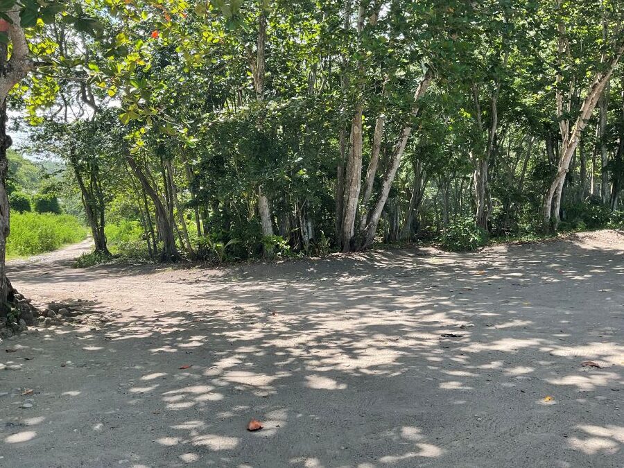 BEACH FRONT LAND FOR SALE LOCATED AT ANSE LA RAYE, SAINT LUCIA