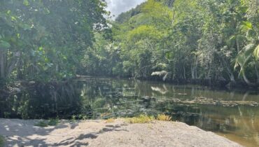 BEACH FRONT LAND FOR SALE LOCATED AT ANSE LA RAYE, SAINT LUCIA
