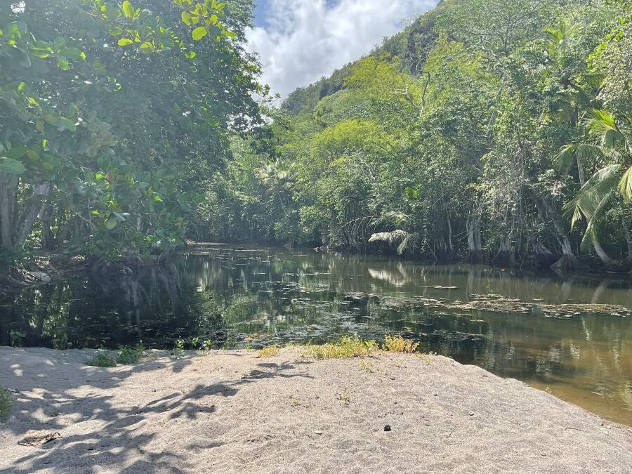 BEACH FRONT LAND FOR SALE LOCATED AT ANSE LA RAYE, SAINT LUCIA