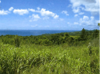 BEACH FRONT PROPERTY FOR SALE ON THE SOUTH WEST COAST OF SAINT LUCIA