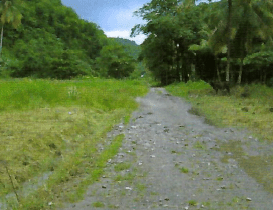 BEACH FRONT PROPERTY FOR SALE ON THE SOUTH WEST COAST OF SAINT LUCIA