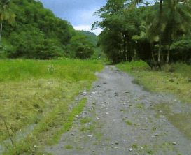 BEACH FRONT PROPERTY FOR SALE ON THE SOUTH WEST COAST OF SAINT LUCIA