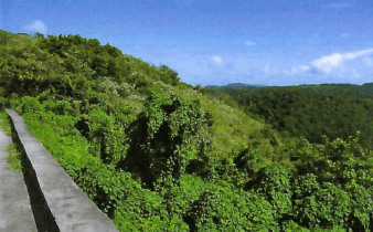 BEACH FRONT PROPERTY FOR SALE ON THE SOUTH WEST COAST OF SAINT LUCIA