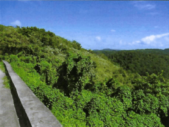 BEACH FRONT PROPERTY FOR SALE ON THE SOUTH WEST COAST OF SAINT LUCIA