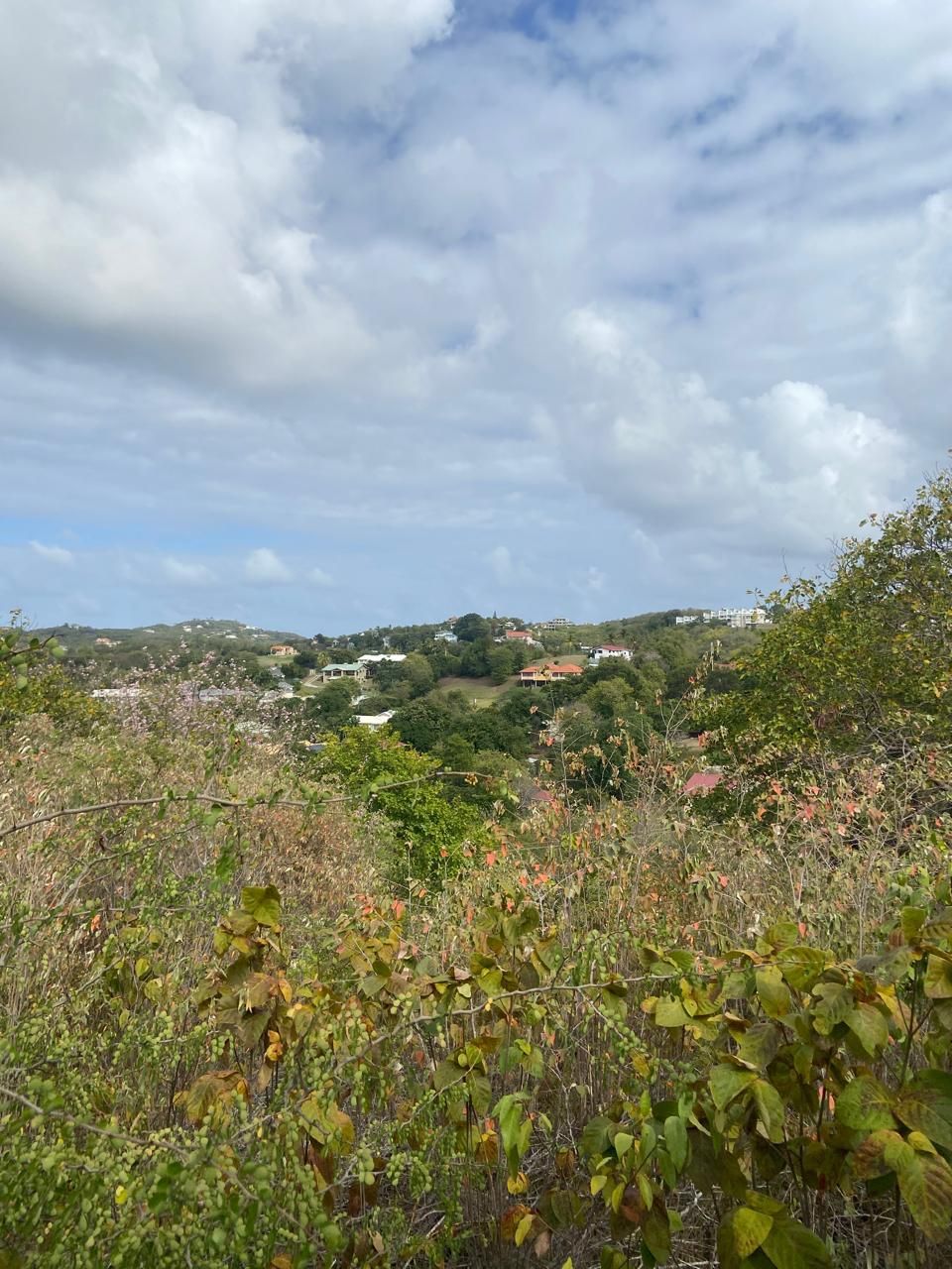 LAND FOR SALE LOCATED AT BECUNE POINT, CAP ESTATE, SAINT LUCIA
