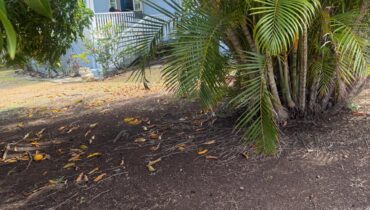 GARDEN-VIEW CONDOMINIUM FOR RENT LOCATED AT GATE PARK, CAP ESTATE, SAINT LUCIA