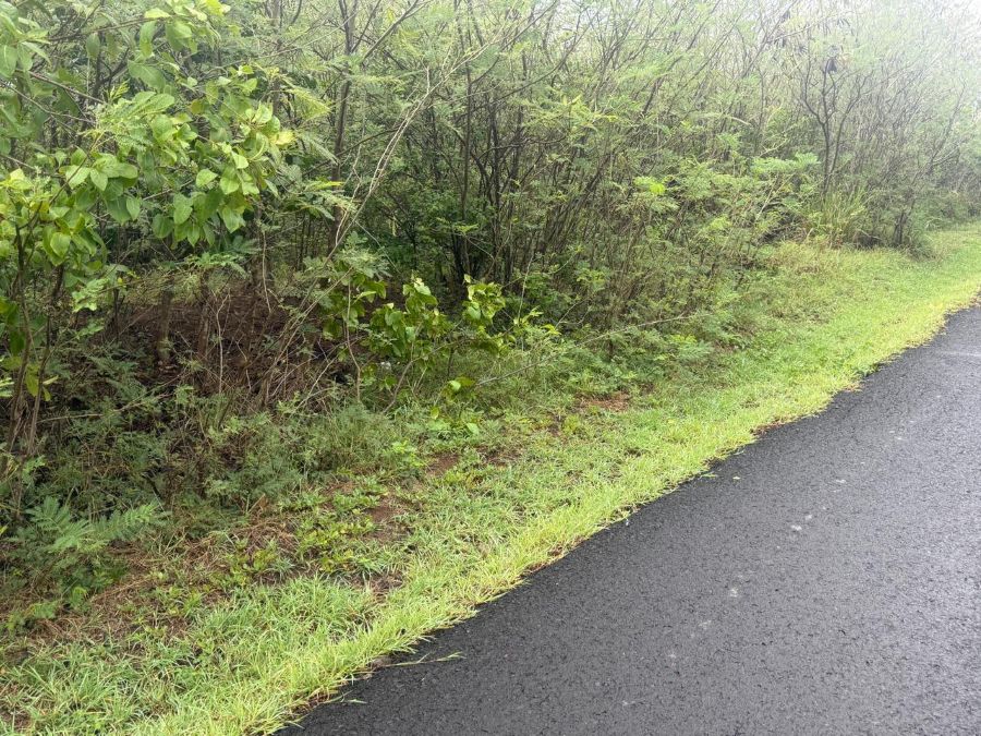 PLOT OF LAND FOR SALE BORDERING THE GOLF COURSE LOCATED AT CAP ESTATE, ST. LUCIA