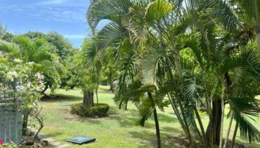 TRANQUIL GARDEN CONDOMINIUM FOR SALE LOCATED AT GATE PARK, CAP ESTATE, SAINT LUCIA