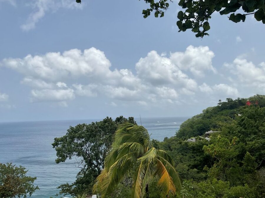 2-BED ECO VILLA FOR SALE LOCATED AT MARIGOT BAY, SAINT LUCIA